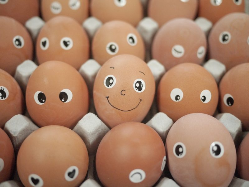 eggs eieren sollicitatie vragen google gebouw