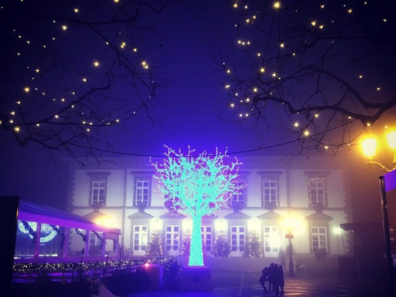 De blauwe Winterboom in Luxemburg. Bron: Barbara Tasch