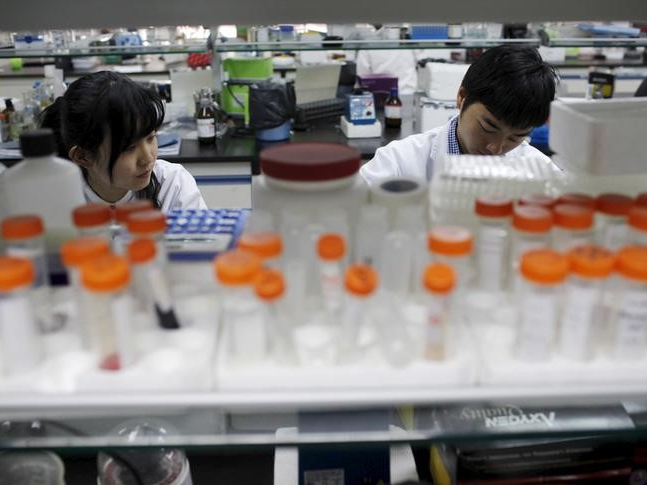 Researchers prepare medicine at a laboratory in Nanjing University in Nanjing, Jiangsu province, China, in this April 29, 2011 file photo. REUTERS/Aly Song/Files