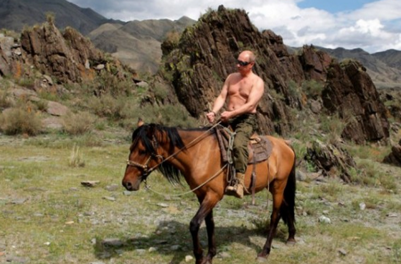 Putin Horse