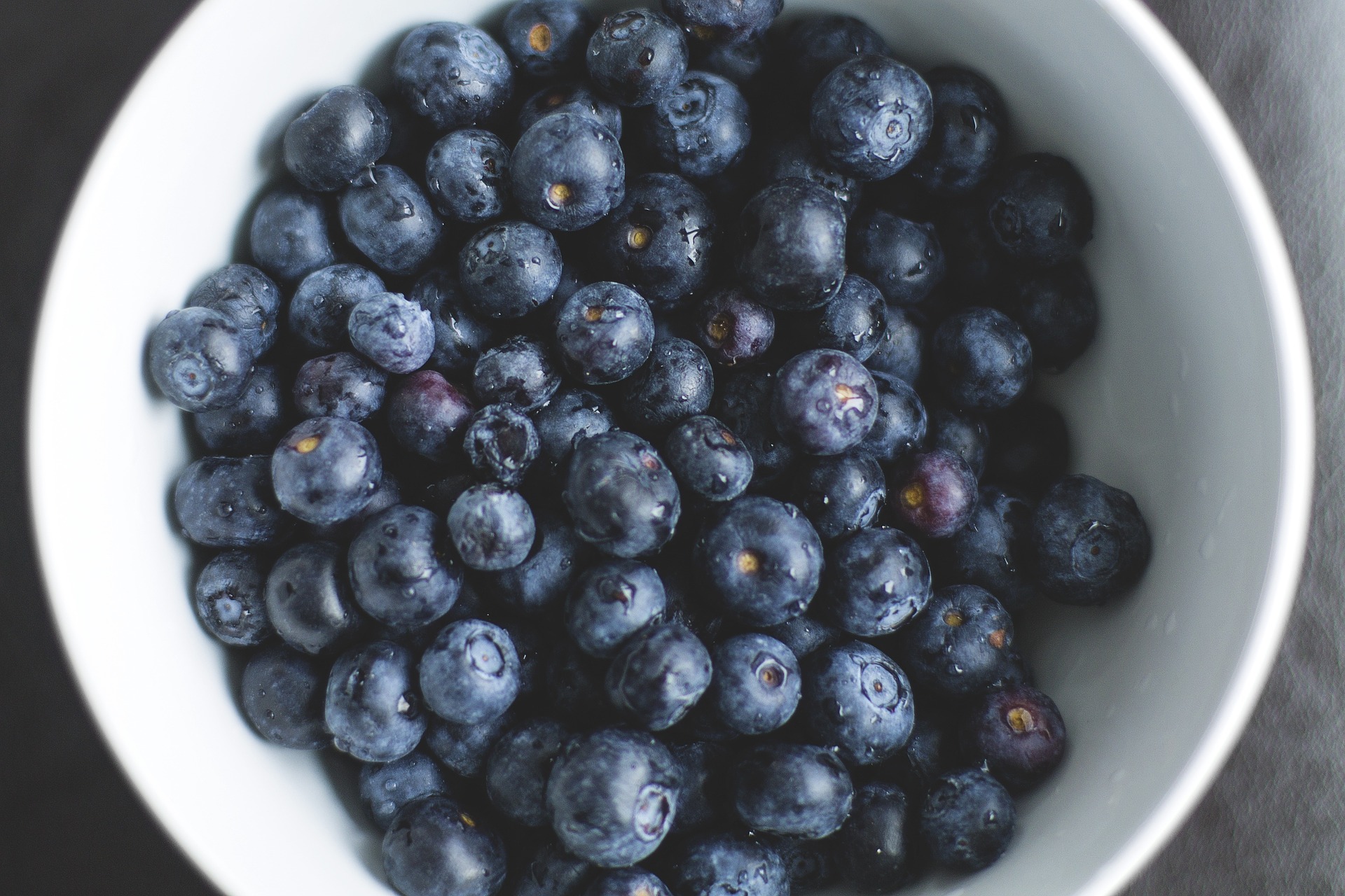 blueberries bosbessen
