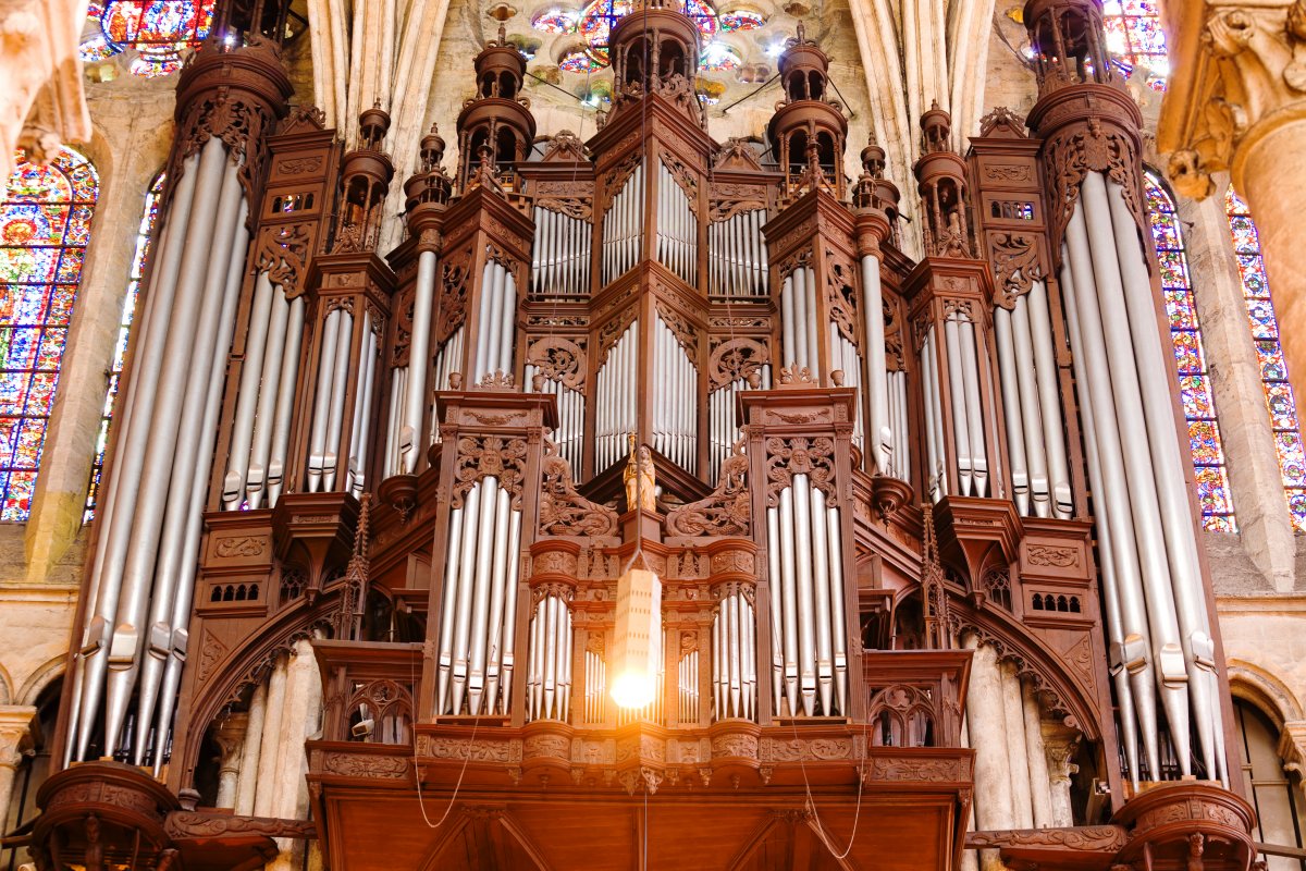 -and-the-stunning-organ-inside