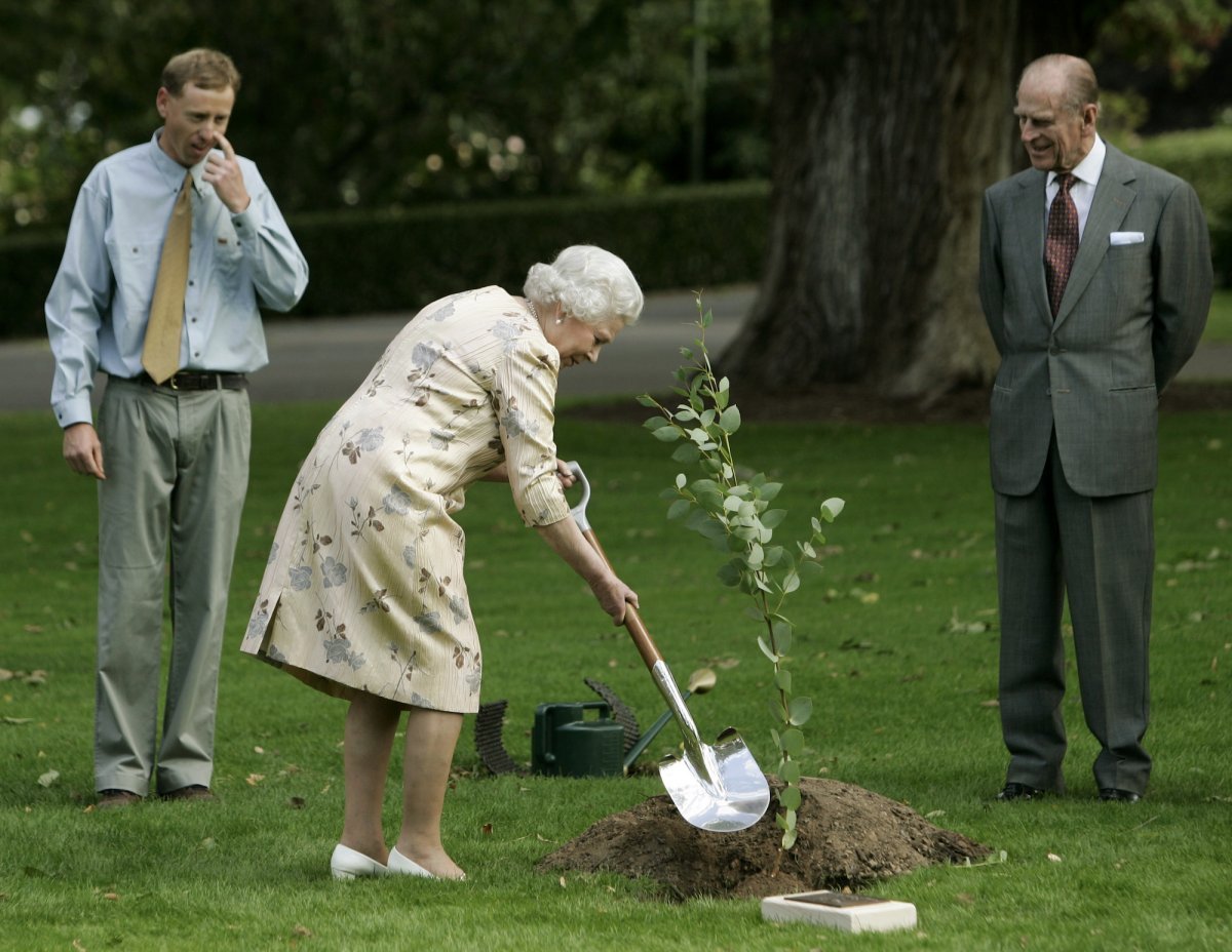 here-queen-elizabeth-ii-got-her-hands-dirty-as-she-planted-a-black-sally-gum-tree