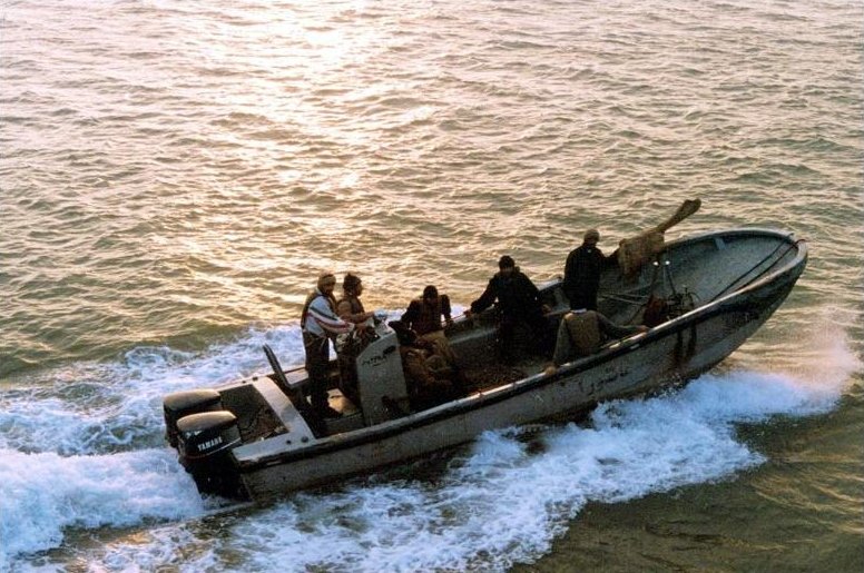 In 1987, when the US got involved in the Iran-Iraq war to protect Kuwaiti oil exports, dolphins were deployed to protect the Third Fleet flagship anchored off Bahrain.