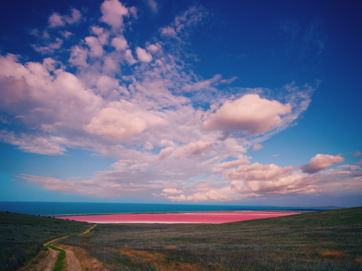 australias-lake-hillier-maintains-its-vibrant-pink-color