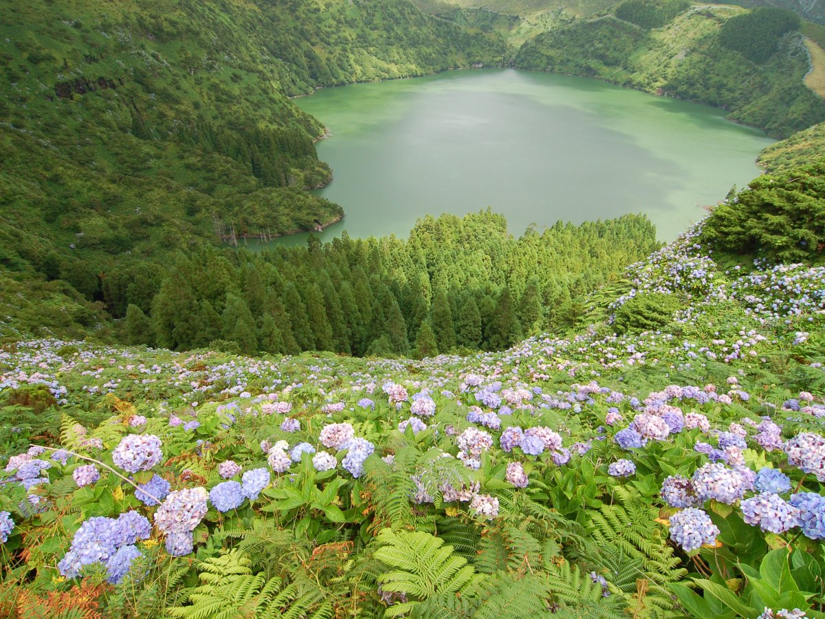 the-island-of-flores-located-in-the-westernmost-point-of-the-azores-archipelago-off-the-coast-of-portugal