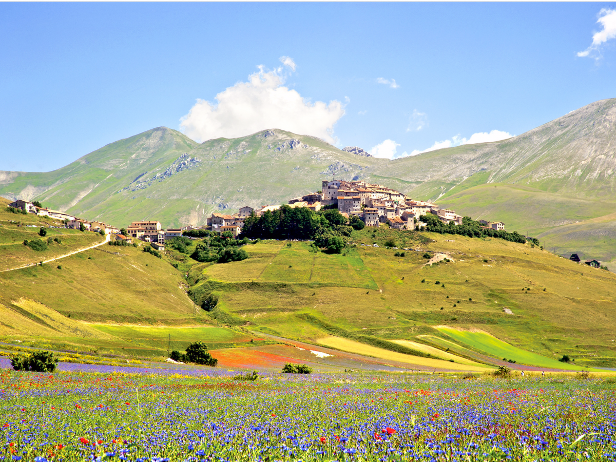 the-small-town-of-castellucio-di-norcia-sits-near-norcia-in-umbria-italy-the-town-is-famous-for-its-brilliant-display-of-flowers