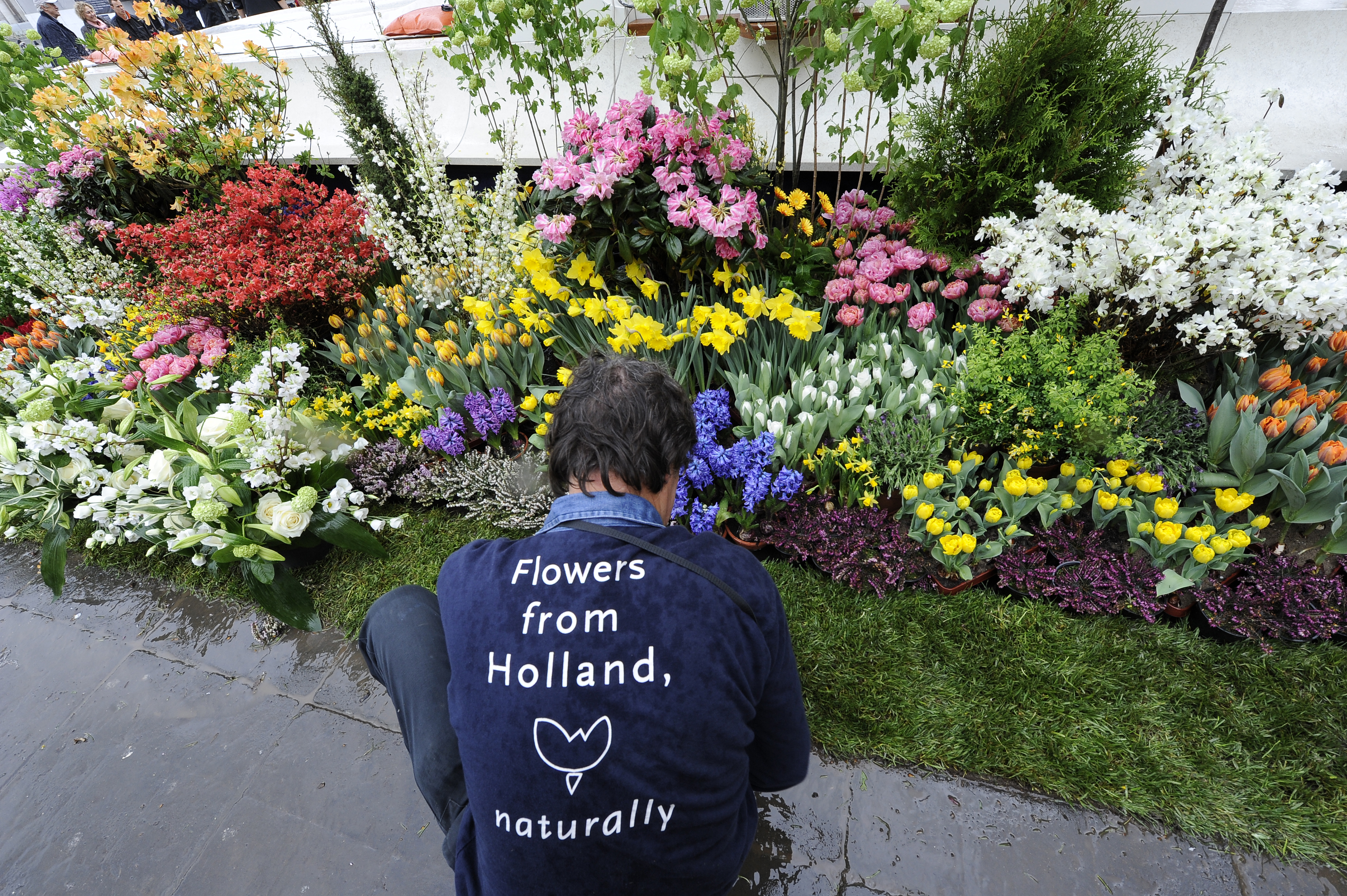 Het Sint Pietersplein in Rome wordt versierd met bloemen van de Nederlandse bloemist Charles van der Voort. Op Paaszondag spreekt de paus hier het Urbi et Orbi uit. ANP MAURIZIO BRAMBATTI