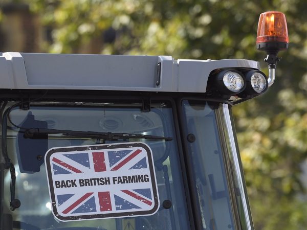 Sommige Britse boeren steunden de Brexit-campagne. foto: Reuters/Toby Melville