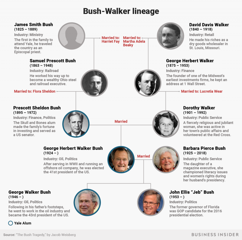 bush walker family lineage