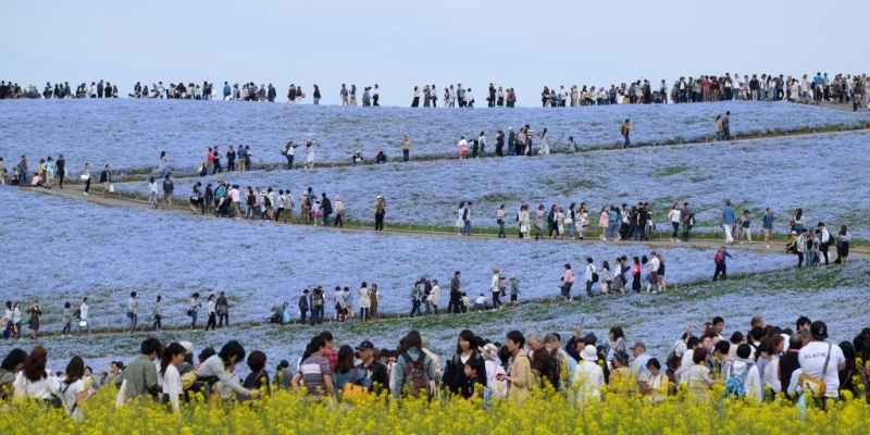 Japan crowd queue