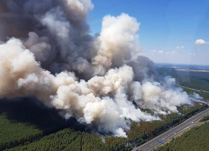 Germany Potsdam Fichtenwalde forest fire blaze flames