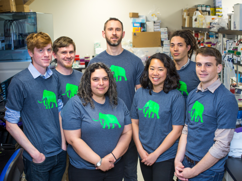 Team at Mammoth biosciences