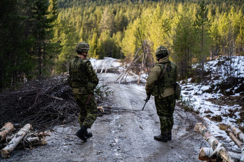 Canada army engineer Norway Trident Juncture