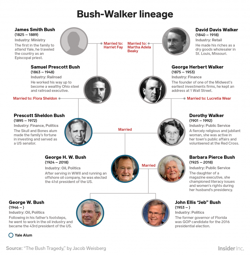 Bush Walker lineage timeline 2018