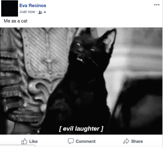 Facebook Status with GIF attached