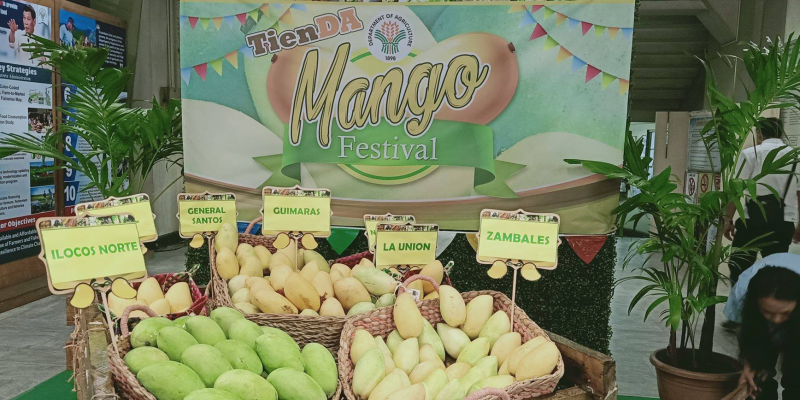 Mangos in Manilla.