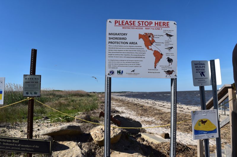 pandemic flu   birds migrating don't enter this beach.JPG