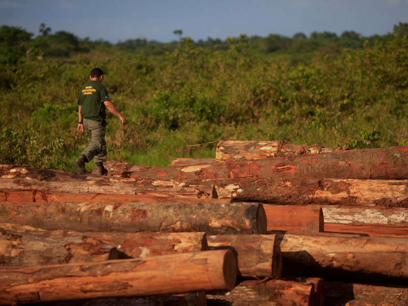 Amazon deforestation brazil drought