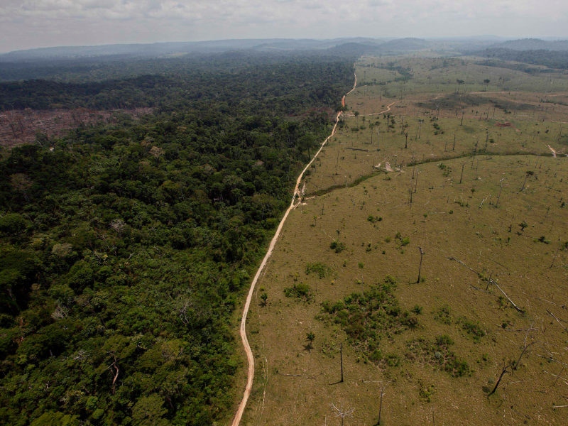 amazon deforestation in brazil