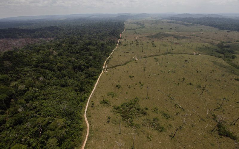 amazon deforestation in brazil