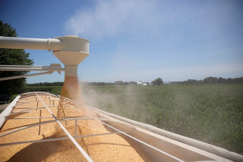 FILE PHOTO: Corn is loaded into a truck at a farm in Tiskilwa, Illinois, U.S., July 6, 2018.  REUTERS/Daniel Acker/File Photo
