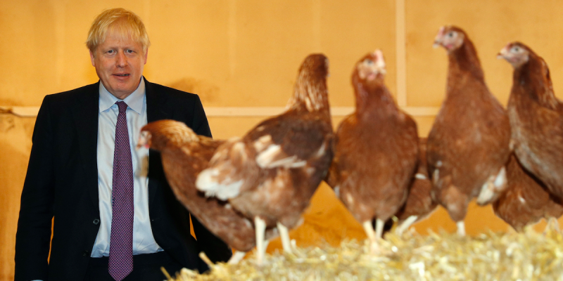 Boris Johnson chickens