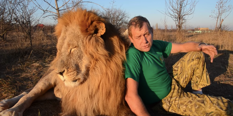 Oleg Zubkov, the owner of the Taigan Lion Park near Simferopol,