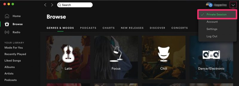 What is private session on Spotify