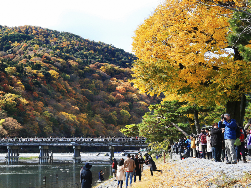 Autumn Colors at Arashiyama in Kyoto, Japan - Tourists