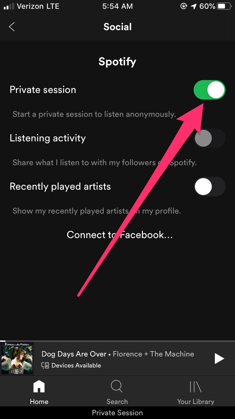 What is private session on Spotify