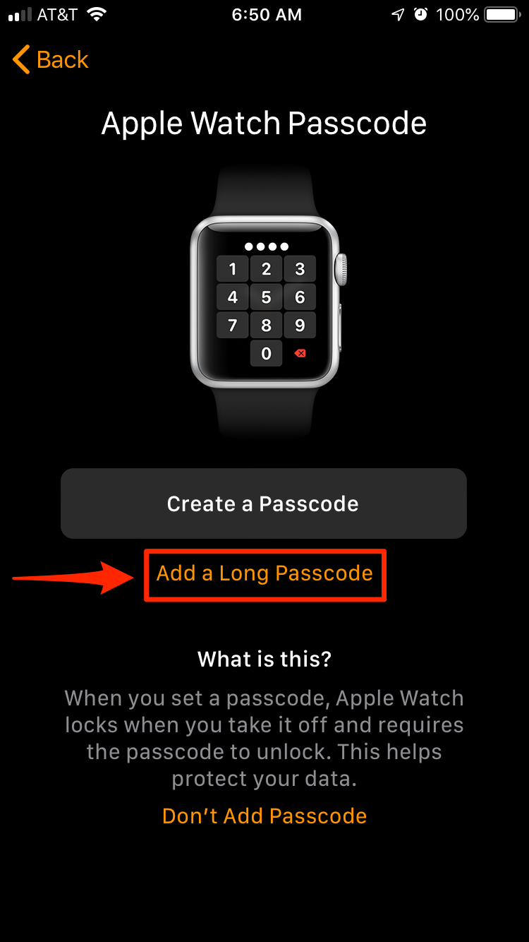Apple Watch passcode with skitch