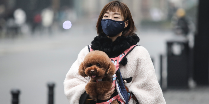 A woman in Wuhan in a mask with her dog 