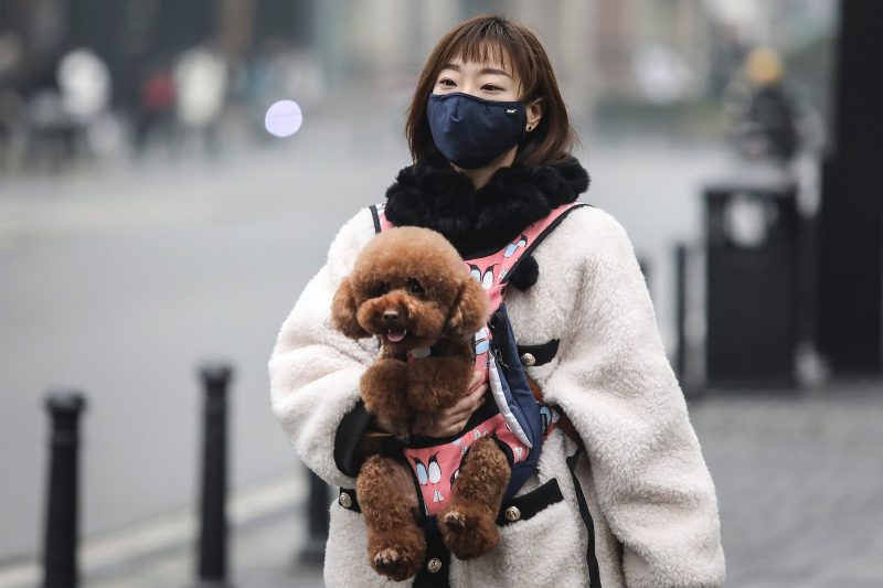 A woman in Wuhan in a mask with her dog 