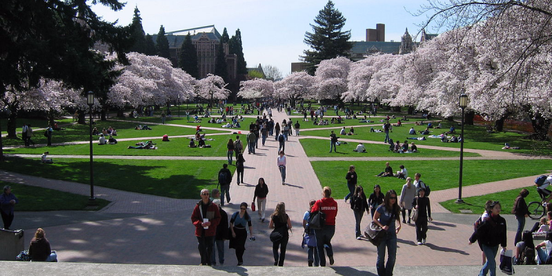 University of Washington