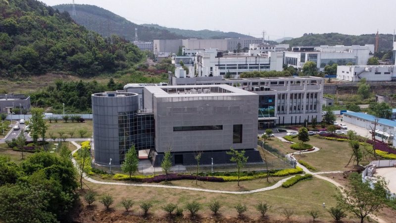 wuhan institute of virology
