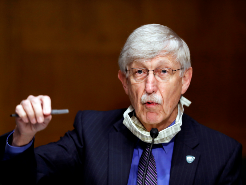 National Institutes of Health head Francis Collins
