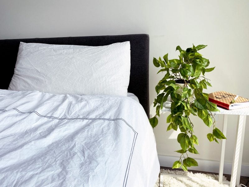 Breathable Bed Sheets Are Oh-So-Soft Sonia Moer Microfibre Fitted Sheet Luxurious No-Iron Bottom Sheet with Strong Elastic Hem to Fit Snugly Around Your Mattress Hypoallergenic 