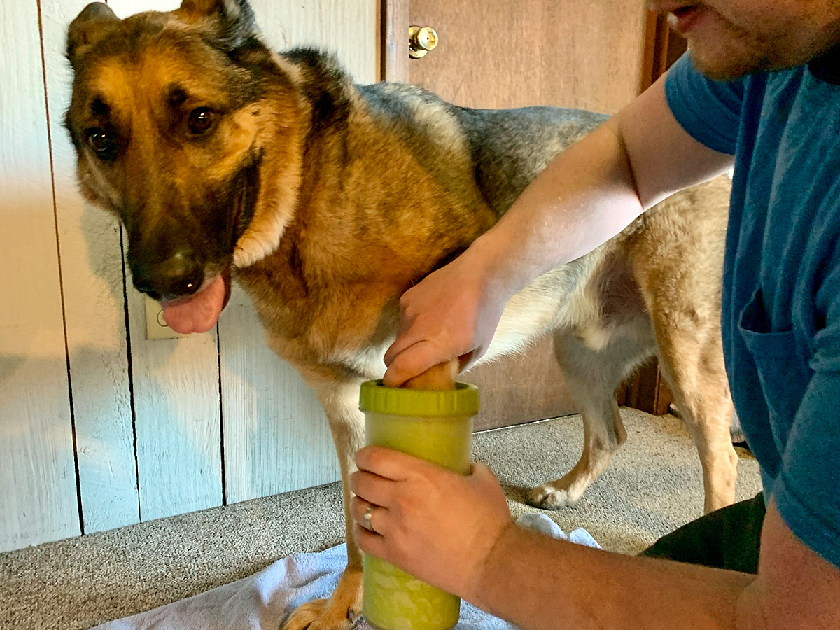 MudBuster paw cleaner