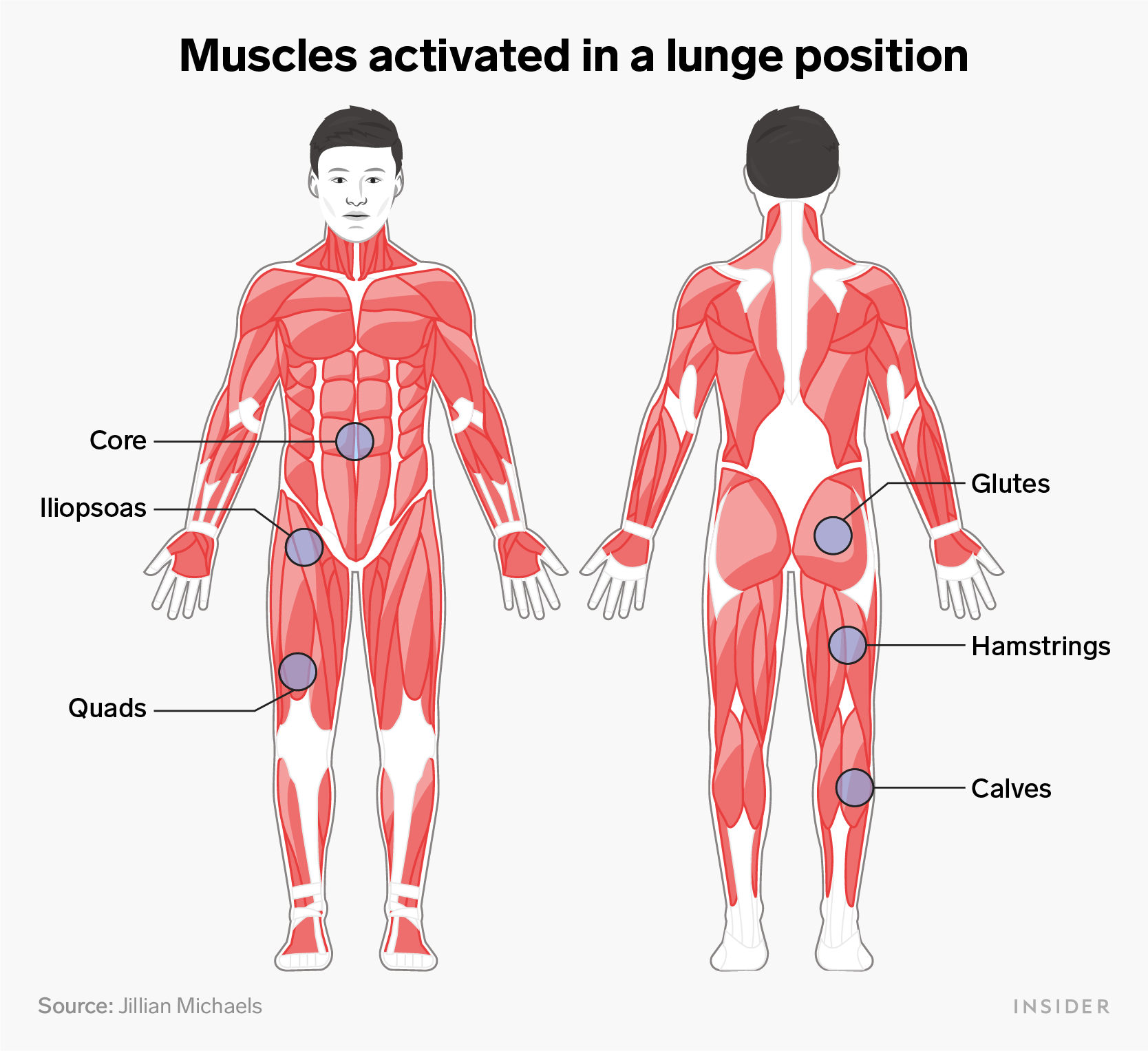 lunges muscles infographic