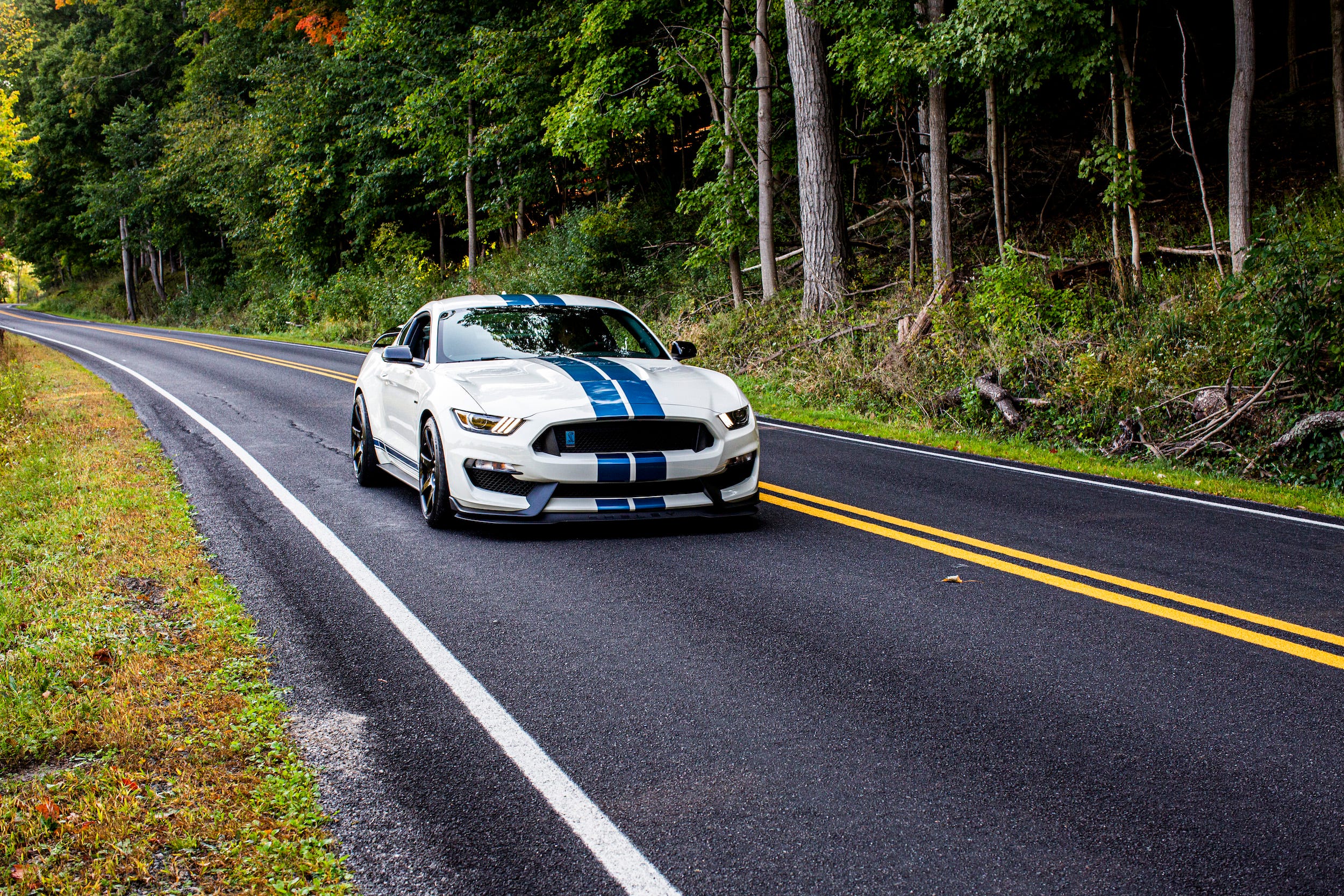 2020 Ford Mustang Shelby GT350R Heritage Edition_3.JPG