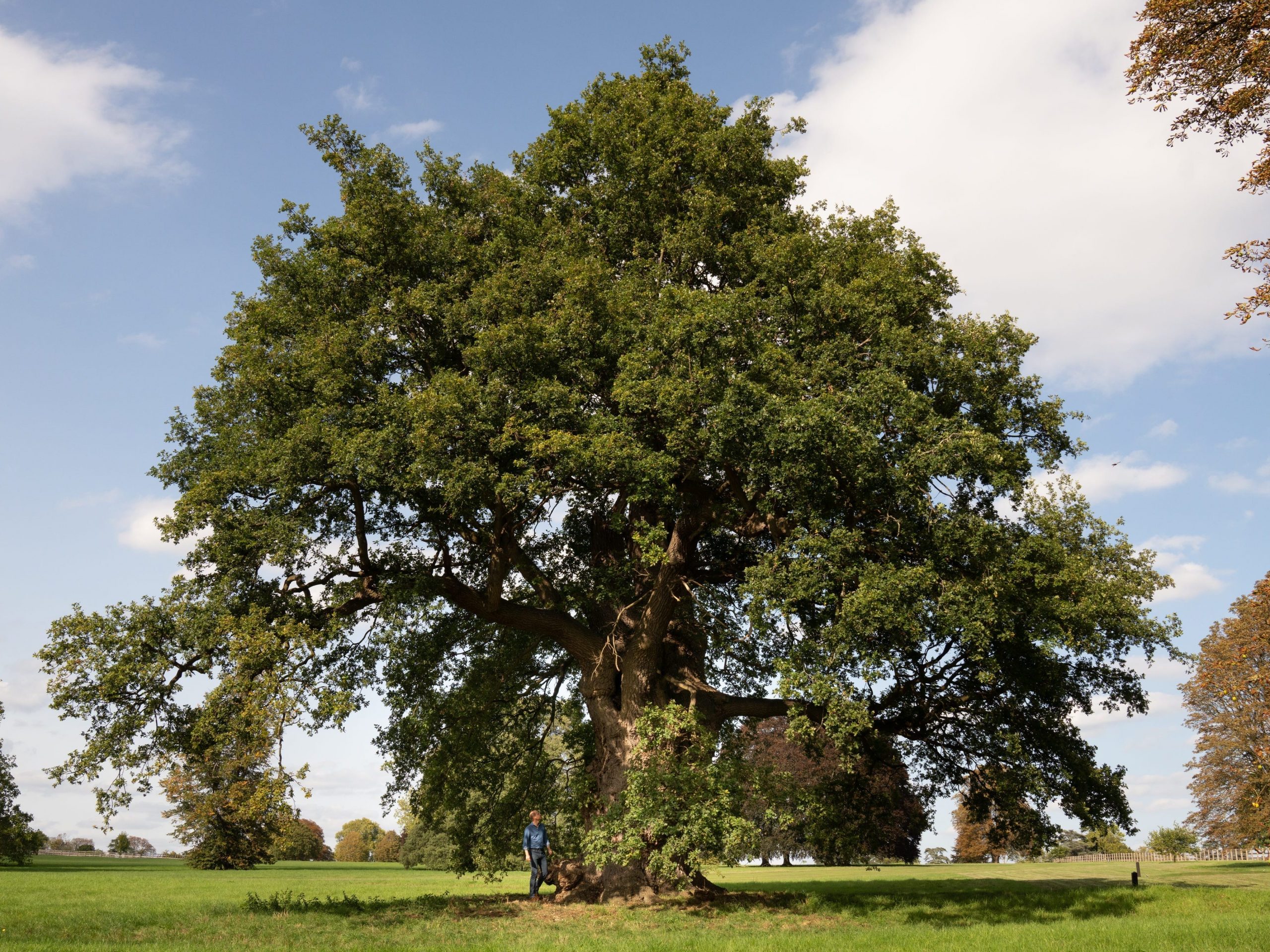 Prince William delivered his TED Talk underneath one of Windsor Castle's giant oak trees.
