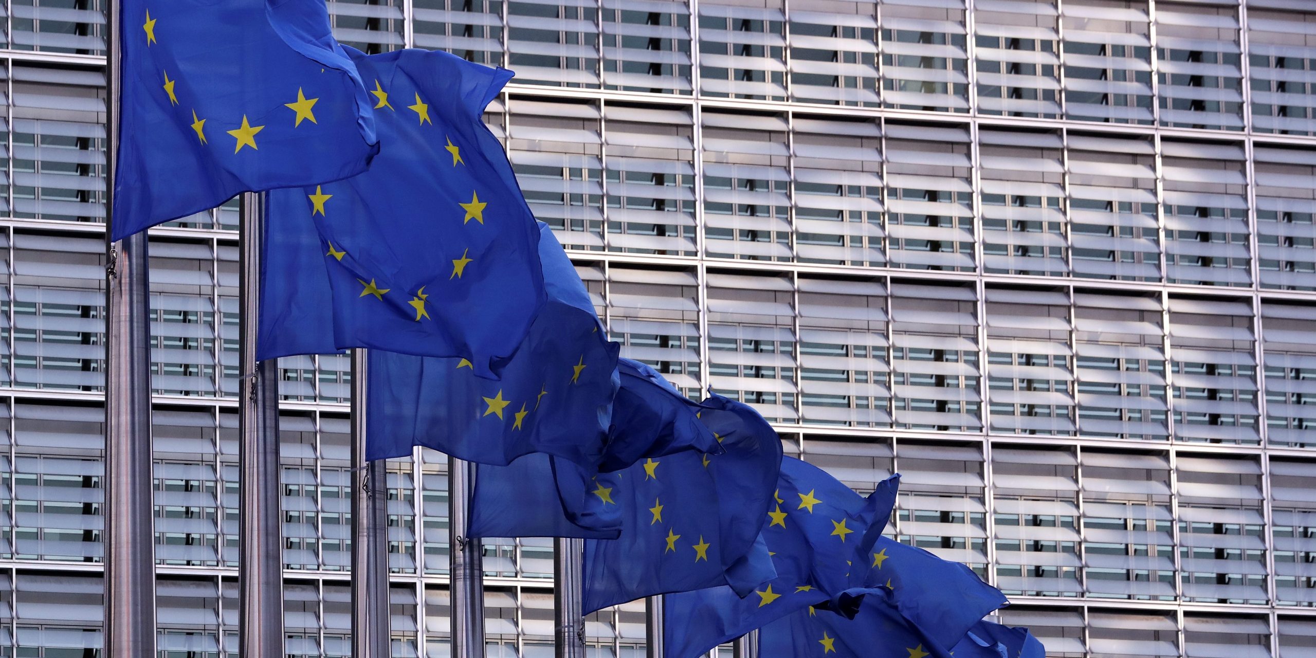 FILE PHOTO: European Union flags fly outside the European Commission headquarters in Brussels, Belgium, February 19, 2020. Picture taken February 19, 2020 REUTERS/Yves Herman