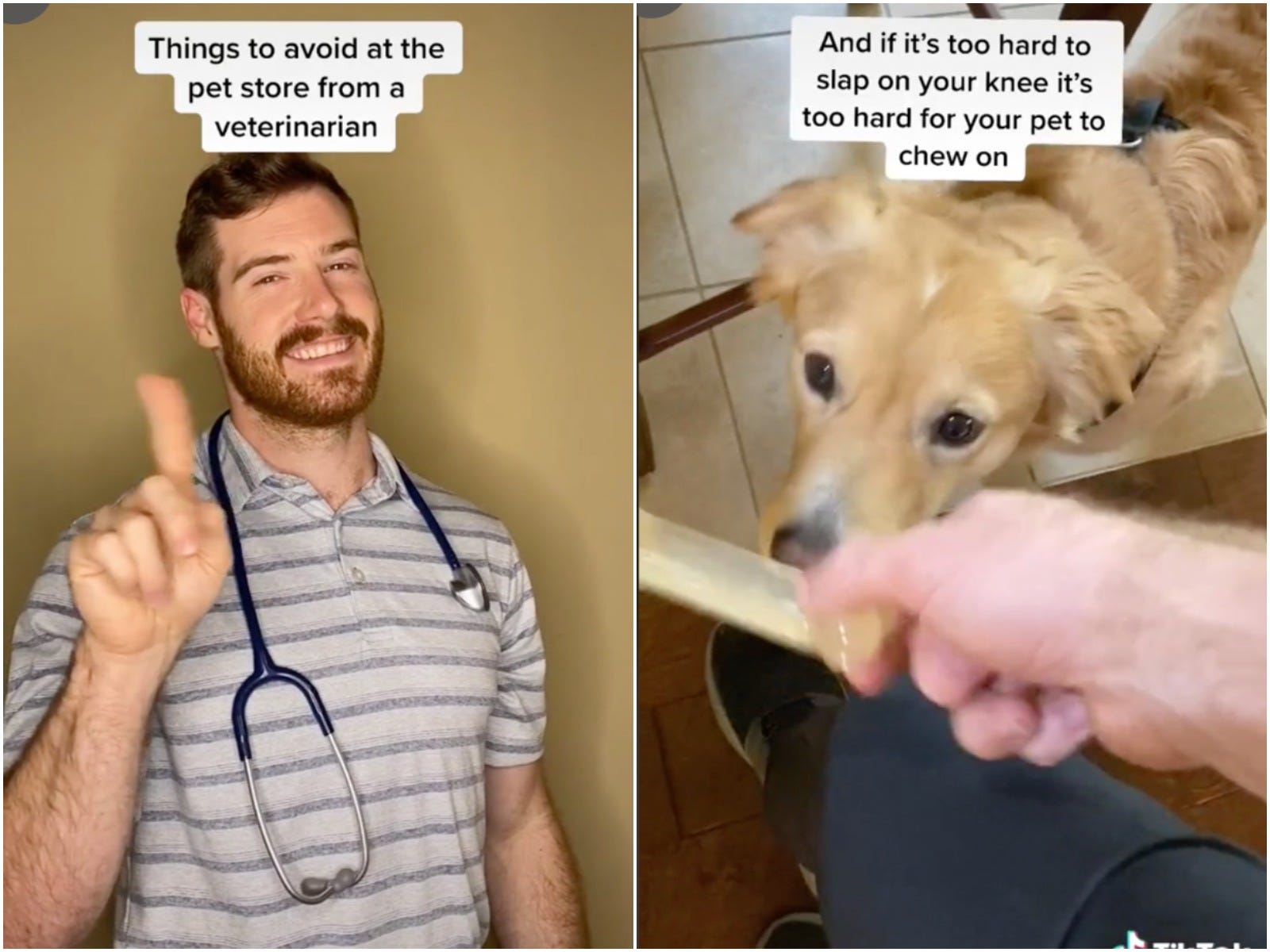 Dr. Hunter Finn's helpful pet-care tips have helped him gain a huge following on TikTok.